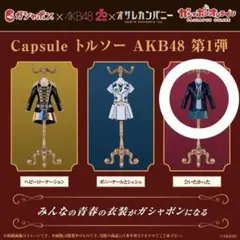 AKB48 トルソー