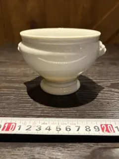 2026年最新】ライオンスープカップの人気アイテム - メルカリ