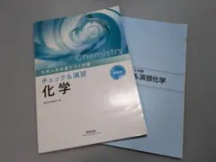 共通テスト対策 チェック&演習 化学 解答付きのサムネイル
