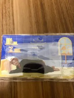 【新品未開封】SnowMan RAYS グッズ パジャマアクスタ　岩本照