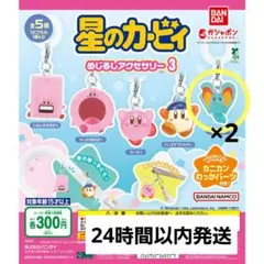 匿名配送 星のカービィ めじるしアクセサリー3 ガチャ エフィリン ２個セット