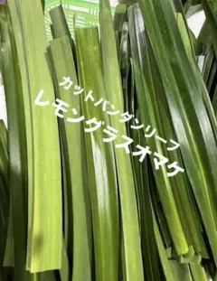 2026年最新】パンダンリーフの人気アイテム - メルカリ