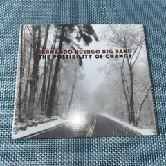 Fernando Huergo The Possibility of Chang