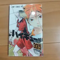 ハイキュー‼︎　映画特典　33.5巻