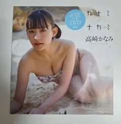 【新品未開封】高崎かなみ　プレイボーイ付録DVD