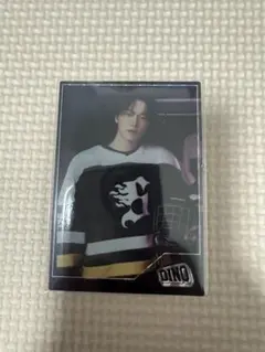 SEVENTEEN HOME 2025 ディノ 84