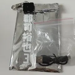 ファイターズ 光るキーホルダー 郡司裕也 3 新品未使用