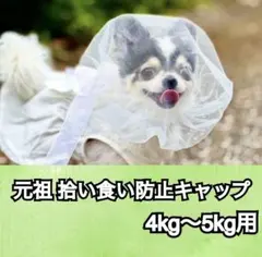 元祖 拾い食い防止キャップ 4kg〜5kg用 誤飲防止 ランダムカラー1点