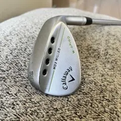 Item thumbnail for item b2cdd2b0-2f2c-433a-8560-6d36d383be54