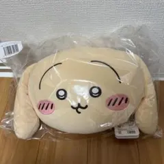 Item thumbnail for item 8fb20c7d-8ff1-4178-99f0-0213ed1d5b2b