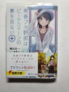 青春ブタ野郎はビーチクイーンの夢を見ない+