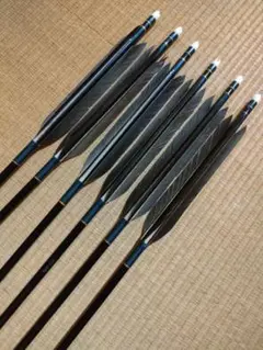 新品】弓道 矢6本＋巻藁矢セット EASTON XX75 2015 矢筒付き - メルカリ