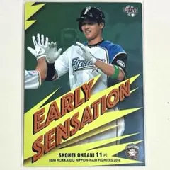 2026年最新】大谷翔平 カード 日ハムの人気アイテム - メルカリ