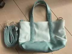 Item thumbnail for item 545d8fb3-7b5d-4570-9a37-13a7a70395ab