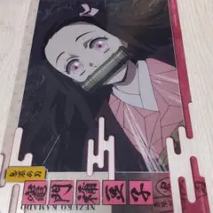 鬼滅の刃 クリアビジュアルポスター ～無限列車編 其の壱～ 竈門禰豆子