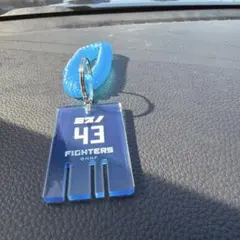 北海道日本ハムファイターズ 水野選手 銭湯風キーホルダー