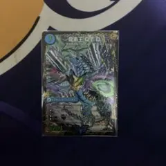 龍素王qed