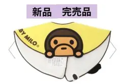 Item thumbnail for item 76891bf7-6521-4800-a7e1-88cab25879ff