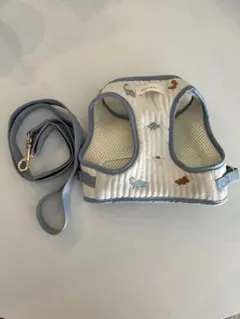 モンシェリ 恐竜