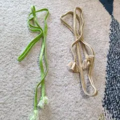 緑と金色の帯締め 2点セット