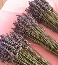 2025年最新】無農薬ドライラベンダーの人気アイテム - メルカリ