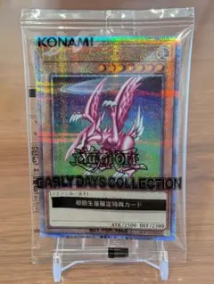 【新品未開封、ワンオーナー品】ホーリーナイトドラゴン 25th プロモのサムネイル