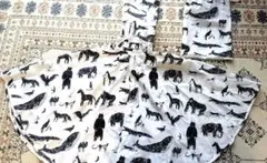 Item thumbnail for item 517352ab-342f-4fd2-be1c-44bba34a55be