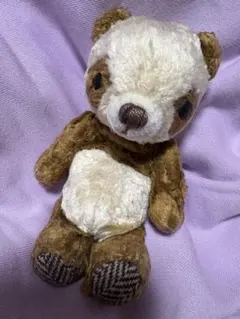 作家 ぬいぐるみ