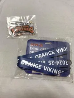 愛媛オレンジバイキングス 2024-25 シーズン キーボルダー パスケース