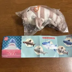 かわいいかわいいぬいぐるみ　サメ　ネコザメ