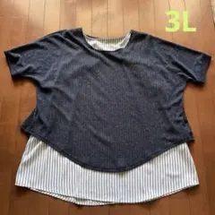 Item thumbnail for item b479dc0f-b033-46fc-8665-5481cfcfa355