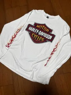 ハーレーダビッドソン袖フレイム　ファイヤー 長袖Tシャツ XL ギルダンボディ