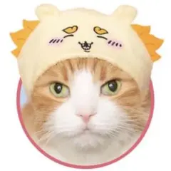 かわいい かわいい ねこのかぶりもの ちいかわ シーサー