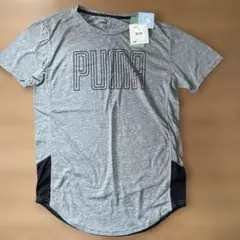 PUMA グレー Tシャツ XS