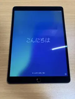 ぱ*ん様 Apple iPad Air 3世代　Wi-Fiモデル　スペースグレー