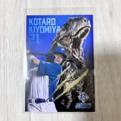 2025年最新】北海道展の人気アイテム - メルカリ