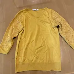 Item thumbnail for item 5633b79f-36a5-450e-8677-4c80827ccf41