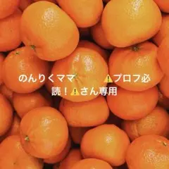 のんりくママ　　　⚠️プロフ必読！⚠️さん専用