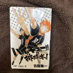 ハイキュー!! コンプリートガイドブック 排球本!
