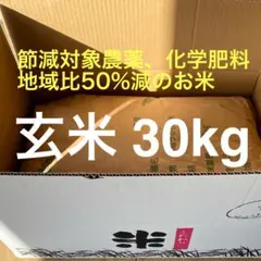令和7年産 こだわりのお米 特別栽培米 コシヒカリ 玄米 30kg（梱包込み