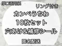 Item thumbnail for item 261a5d1d-659a-4923-ad51-34c1da9f90b5