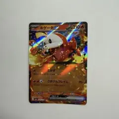 ポケモンカード ホゲータex RR