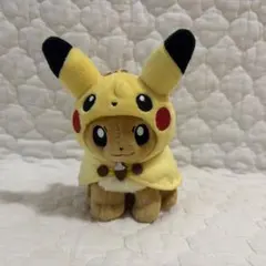 新品タグ付き2018ポケモンセンター限定イーブイポンチョピカチュウキー