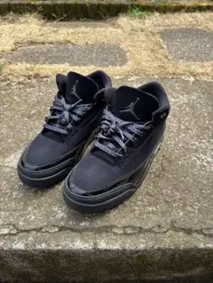 エアジョーダン3 ブラックブラックキャット