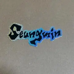 StrayKids ステッカー スンミン