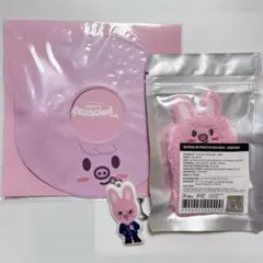 StrayKids スキズ チャンビン トェッキ キーホルダー ランダム