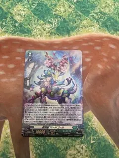 ヴァンガード ストイケイア 樹角獣 マールゴール H 1枚