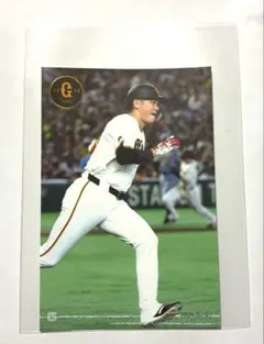 MLB ダルビッシュ有 直筆サイン入りフォト サンディエゴパドレス
