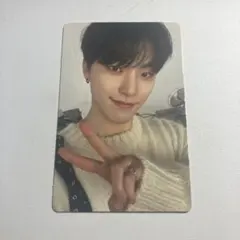 SEVENTEEN FACE THE SUN トレカ ディノ