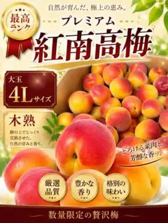 和歌山県産 完熟南高梅‼️3L〜4L混合‼️3kg みかんキング - メルカリ